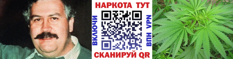 Купить наркоту Киреевск Псилоцибиновые грибы  Гашиш  Амфетамин  Канабис  Alpha PVP 