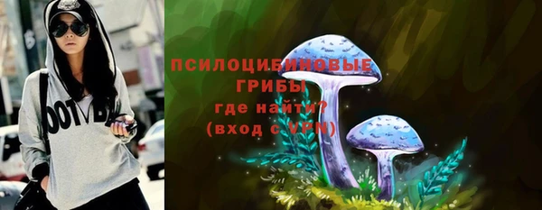 дживик Беломорск