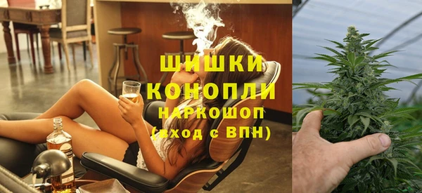 ГАЛЛЮЦИНОГЕННЫЕ ГРИБЫ Михайлов