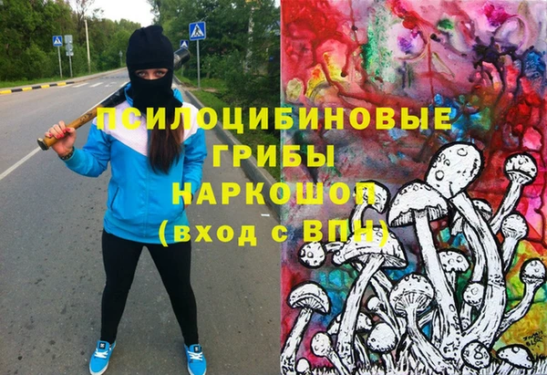 хмурый Михайловка
