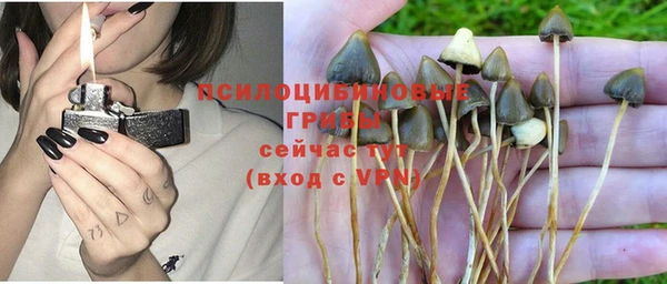 Альфа ПВП Белокуриха