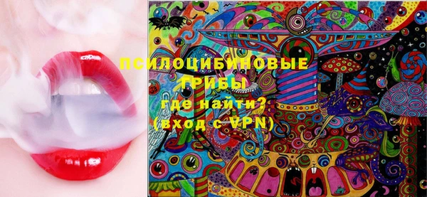 дживик Беломорск