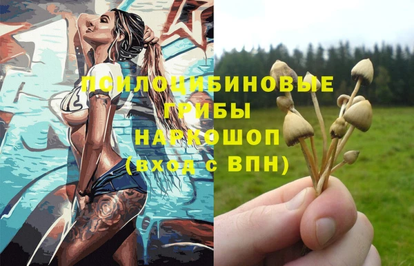 дживик Беломорск