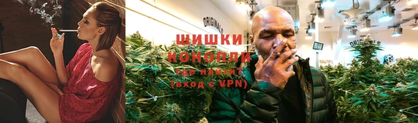 Альфа ПВП Белокуриха