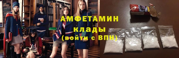 ГАЛЛЮЦИНОГЕННЫЕ ГРИБЫ Михайлов