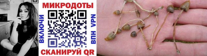 Галлюциногенные грибы GOLDEN TEACHER  Киреевск 